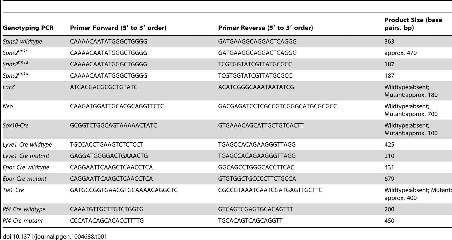 Primers for genotyping.