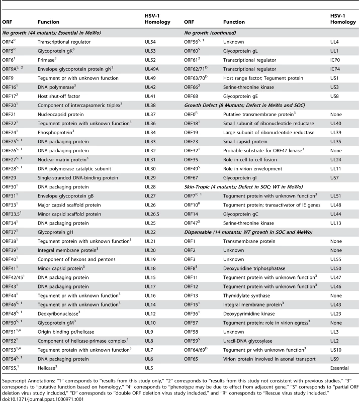 A list of VZV pOka strain ORFs categorized by the growth properties of their respective deletion mutants in MeWo cells and human fetal skin organ cultures (SOC).
