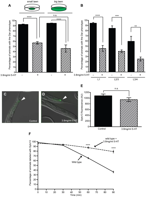 Exogenous serotonin inhibits the Dar phenotype and decreases pathogen clearance rates.