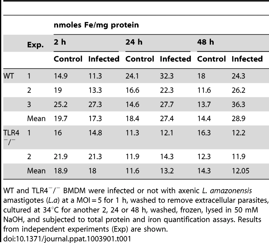Effect of <i>L. amazonensis</i> infection on the total iron content of macrophages.