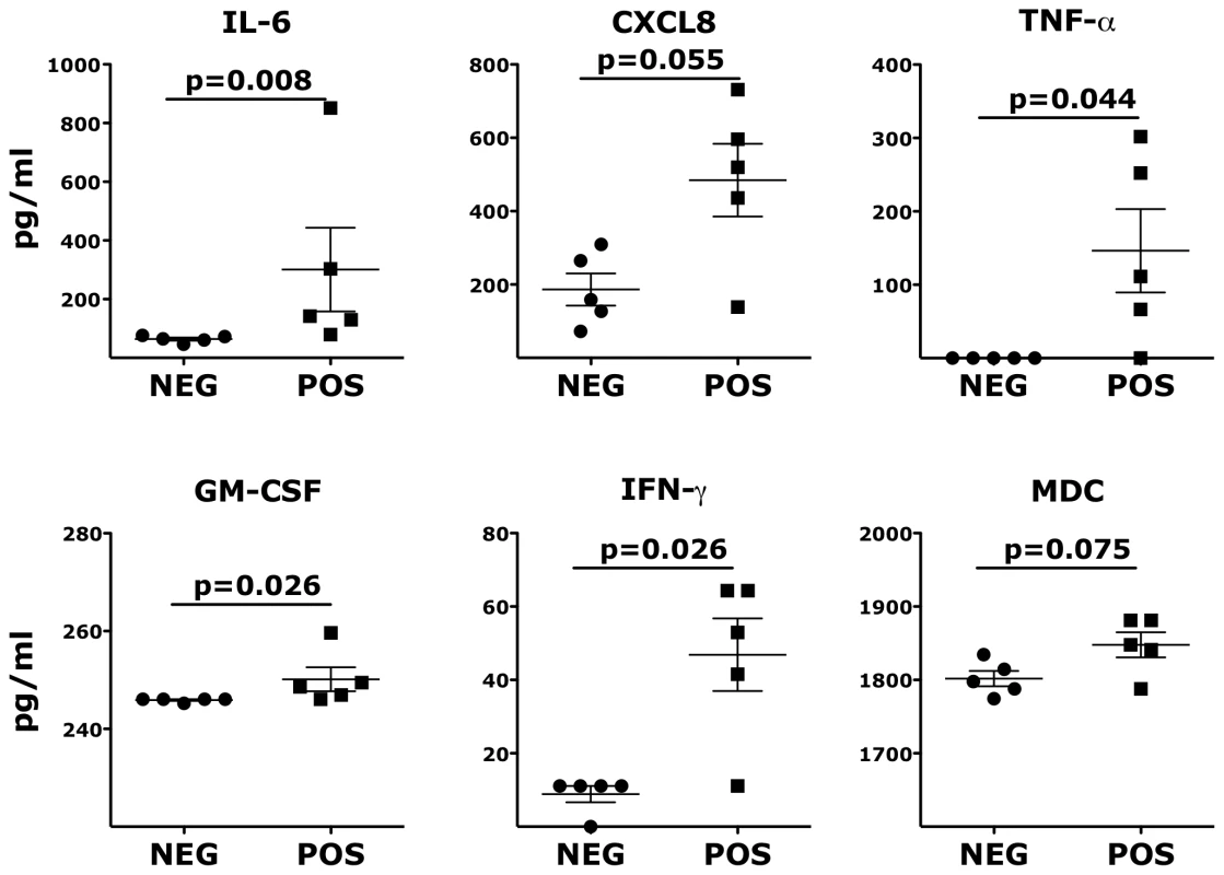 Inflammatory cytokines and chemokines persist in vaginal fluids of HSV-2 latently infected animals.