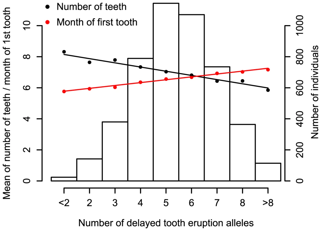 Meta-analysis for primary tooth development by genotype for the five SNPs attaining genome-wide significance.