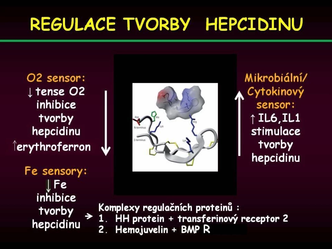 Přehled jednotlivých mechanismů uplatňujících se v regulaci tvorby hepcidinu.