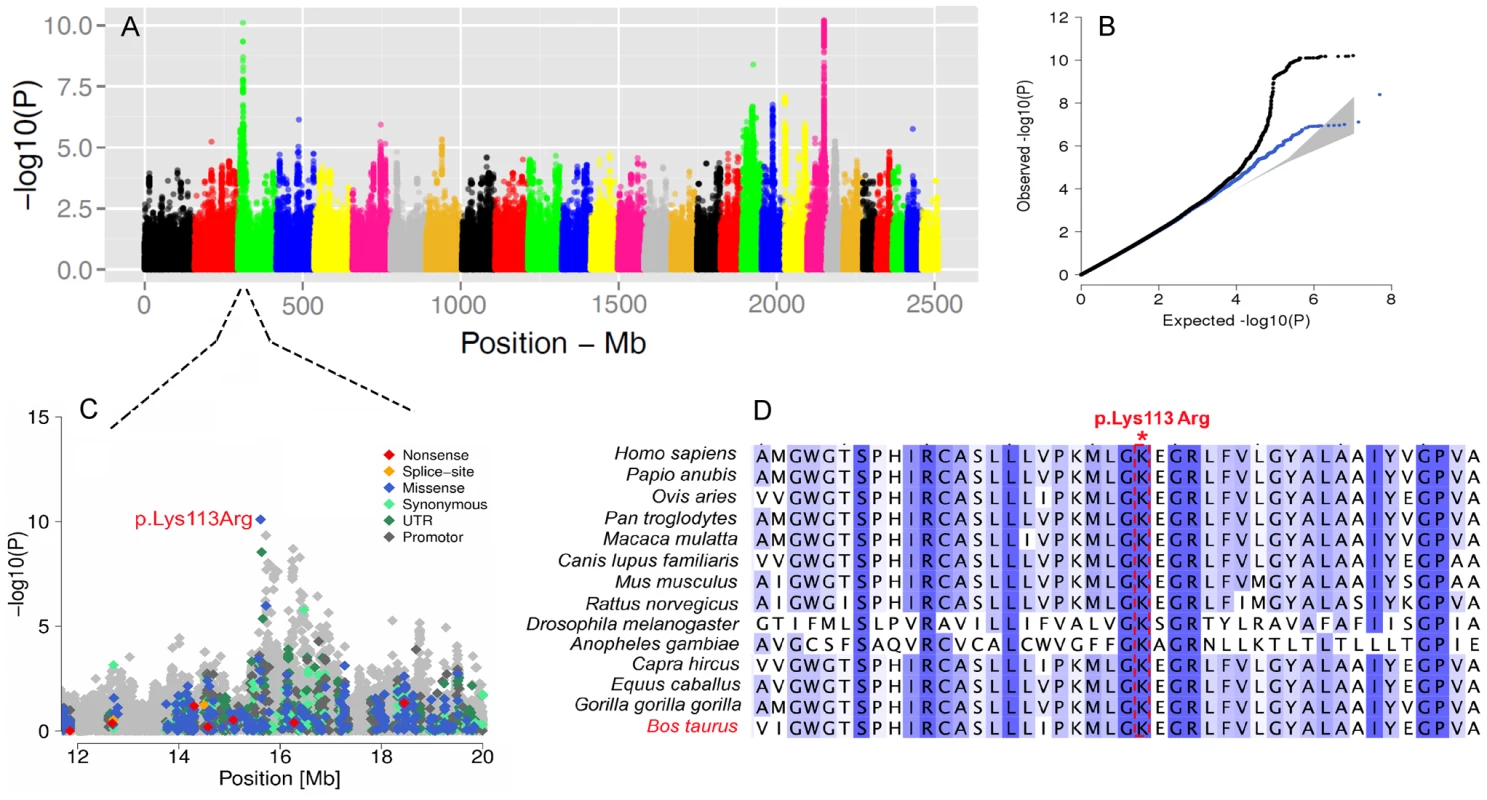 The visualization of the signals revealed by association analyses for SCC trait.