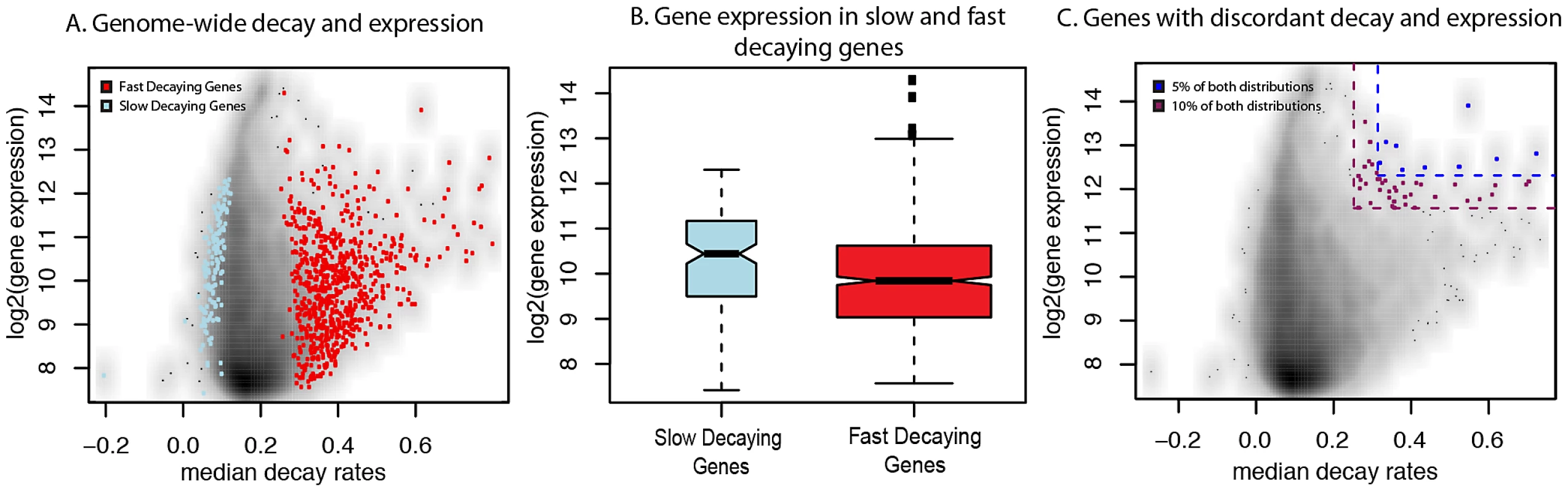 Relationship between gene expression levels and mRNA decay rates across genes.