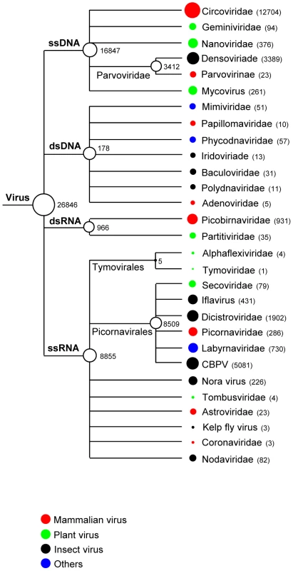 Taxonomic classification of sequences with similarity to eukaryotic viruses.