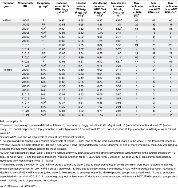 Serum and liver WHV measurements in the wIFN-α and placebo groups.