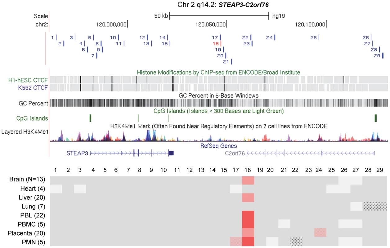 Long-range methylation mapping of the non-imprinted <i>STEAP3-C2orf76</i> region in 8 types of human tissues shows that small discrete DMRs can be present in loci with non-imprinted ASM.