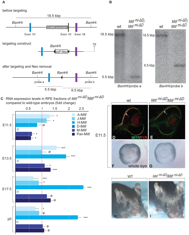 Generation and analysis of mice lacking the RPE–specific <i>D-isoform</i> of <i>Mitf</i> (<i>Mitf<sup>mi-<i>Δ</i>D</sup>/Mitf<sup>mi-<i>Δ</i>D</sup></i>).