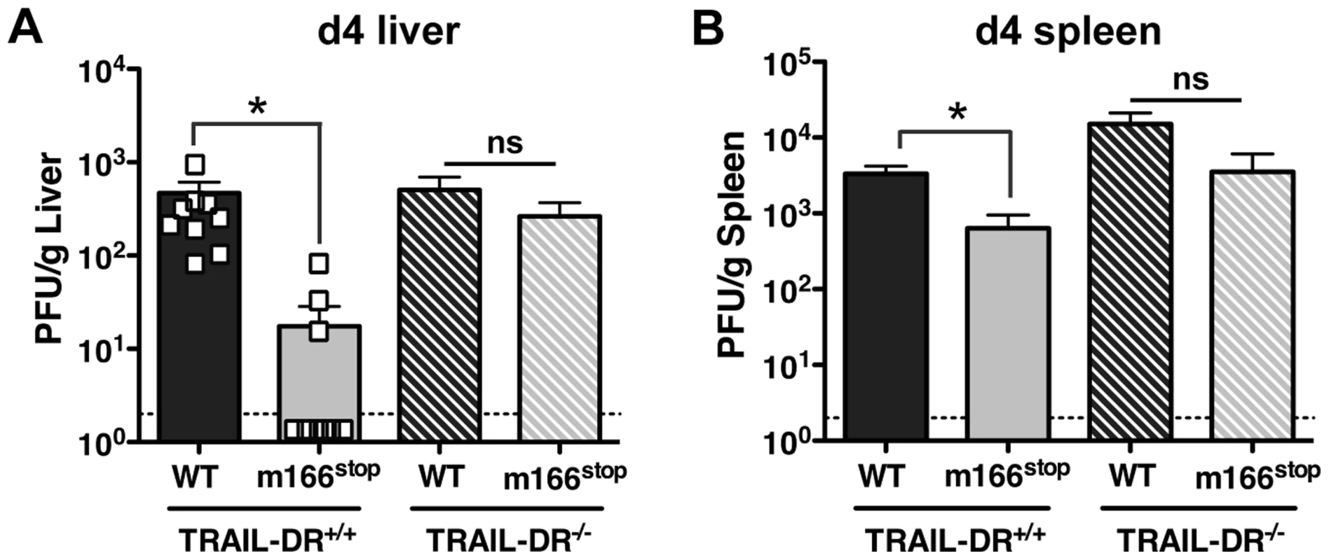 m166 inhibition of TRAIL-DR is responsible for subverting NK cell defenses.