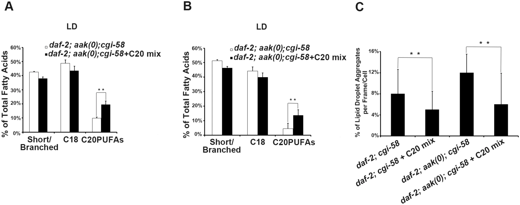 Dietary C20PUFA supplementation reduced the number of lipid droplet aggregates in CGI-58 and AMPK; CGI-58 mutants.