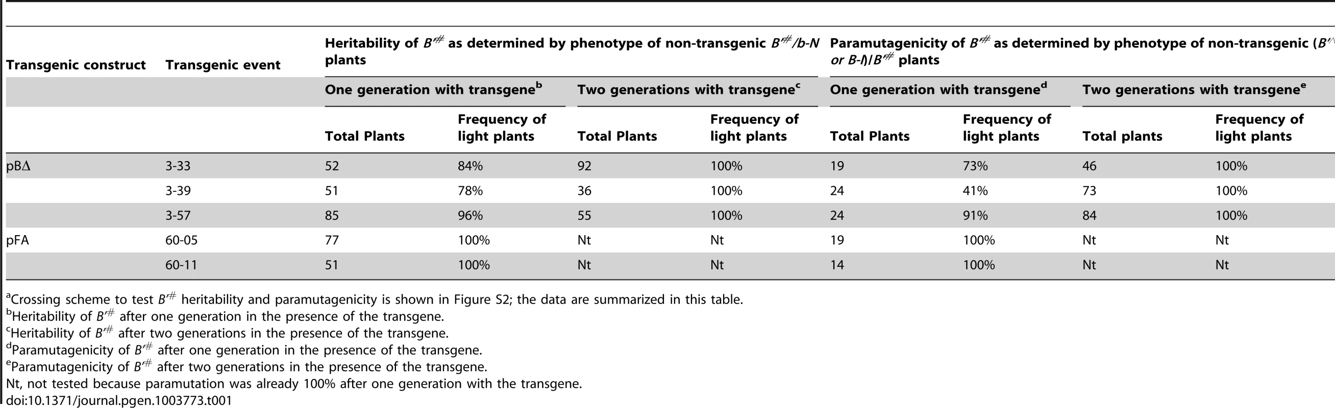Heritability and paramutagenicity of transgene-induced <i>B'<sup>#</sup></i> silencing<em class=&quot;ref&quot;>a</em>.