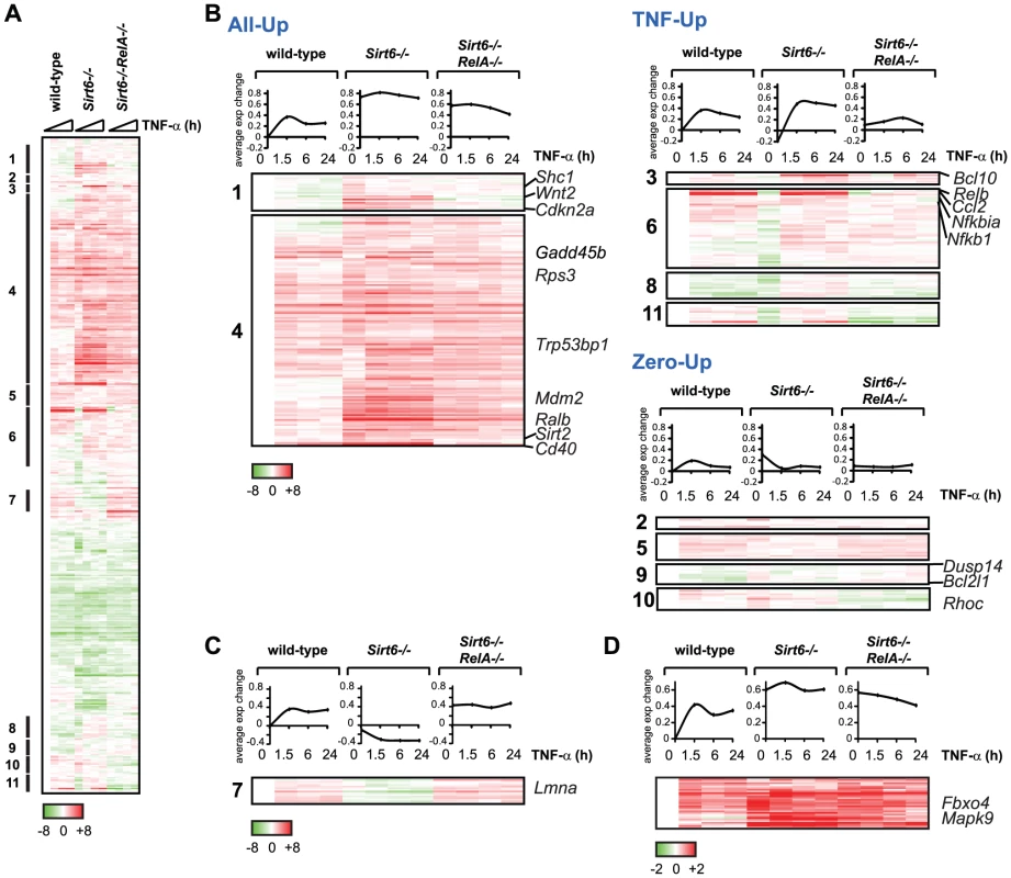 Gene expression consequences of interplay between RelA and Sirt6.