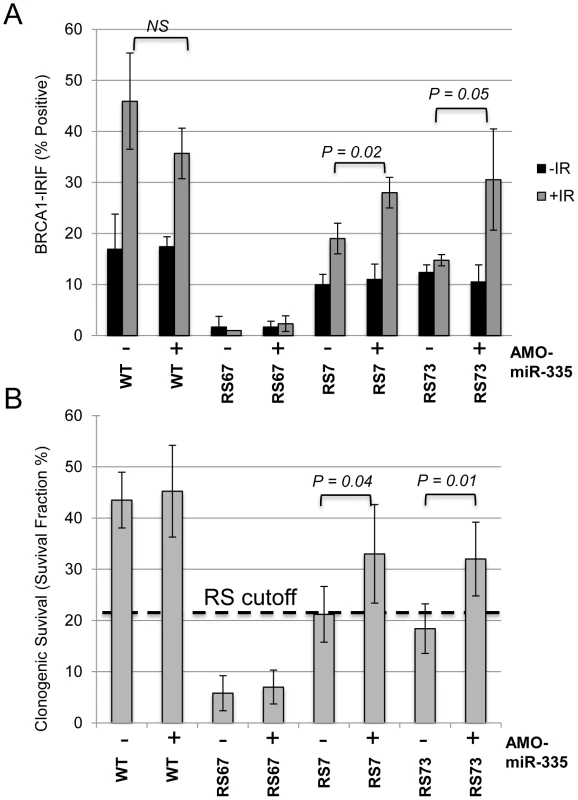 MiR335-induced DDR defects were abrogated in RS7 and RS73 after AMO-miR-335 treatment.