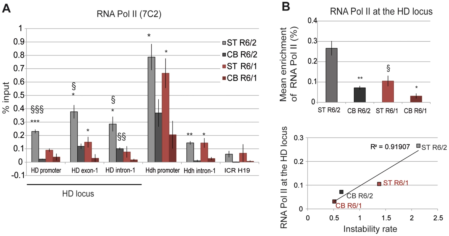 RNA Pol II at the HD locus in R6/1 and R6/2 striatum and cerebellum.