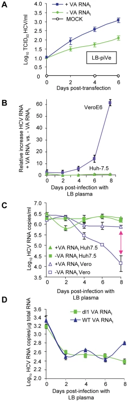 VA RNA<sub>I</sub> stimulates replication of HCV and increases RNA stability.