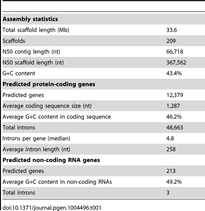 Statistics of the &lt;i&gt;L. corymbifera&lt;/i&gt; genome.