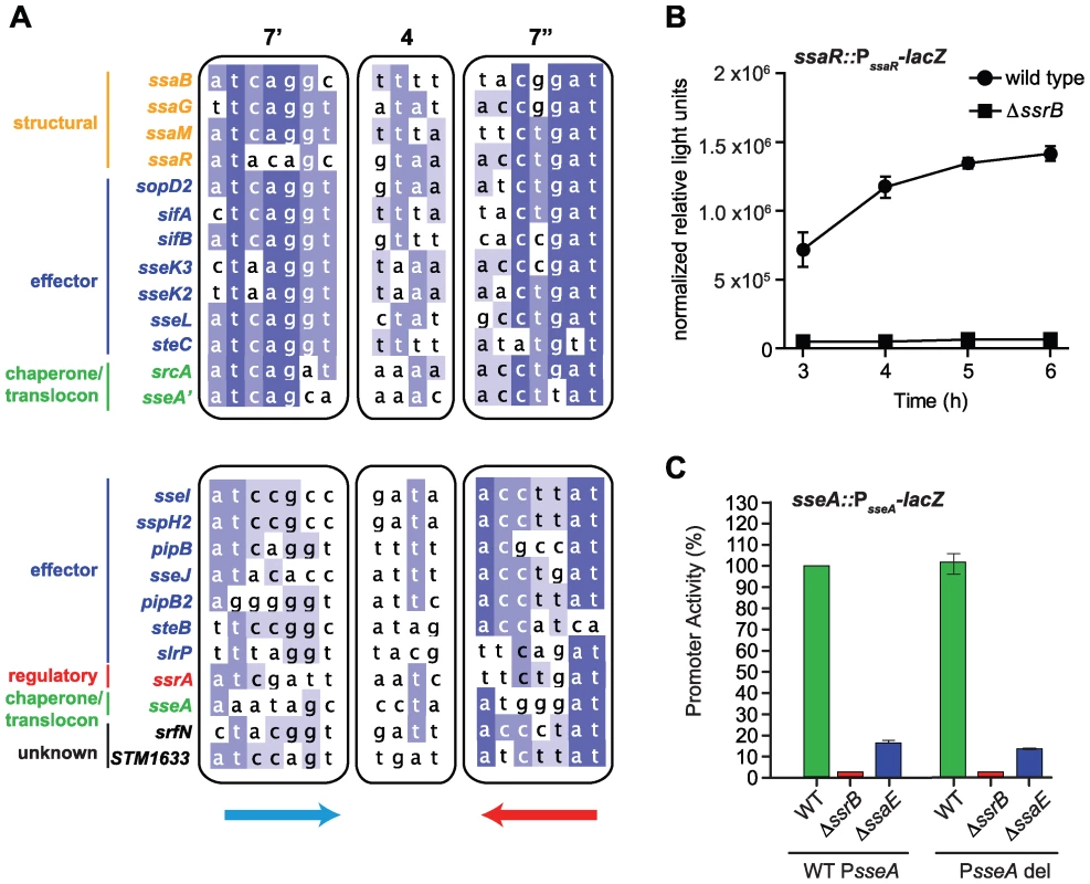 Genome-wide identification of SsrB palindrome sequences.