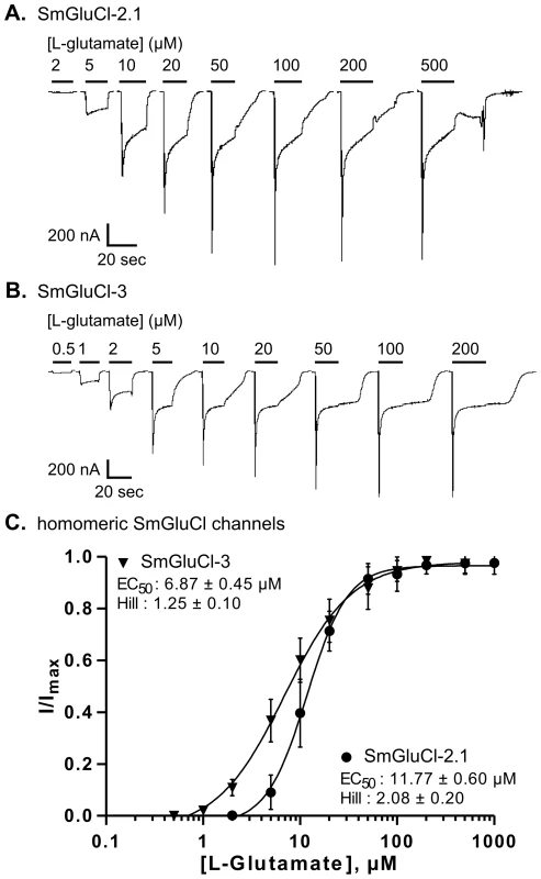 L-glutamate concentration-response relationships of SmGluCl-2.1 and SmGluCl-3 homo-oligomers in <i>Xenopus</i> oocytes.