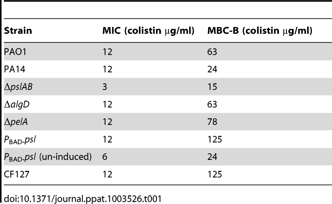 The minimal inhibitory concentration (MIC) of colistin for stationary phase cells normalized to equal cell density, and the minimum bactericidal concentration of colistin for biofilms (MBC-B) after a 2 hour exposure.