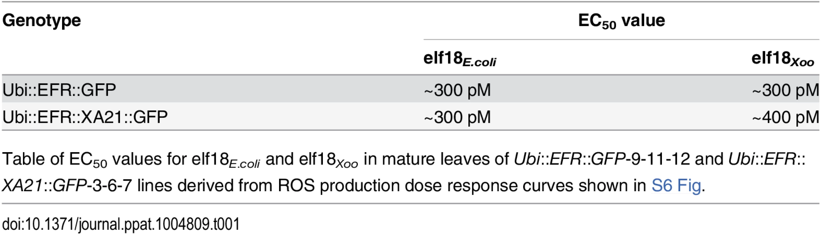 Expression of EFR::GFP and EFR::XA21::GFP in rice confers a high sensitivity to elf18<sub><i>E</i>.<i>coli</i></sub> and elf18<sub><i>Xoo</i></sub>.