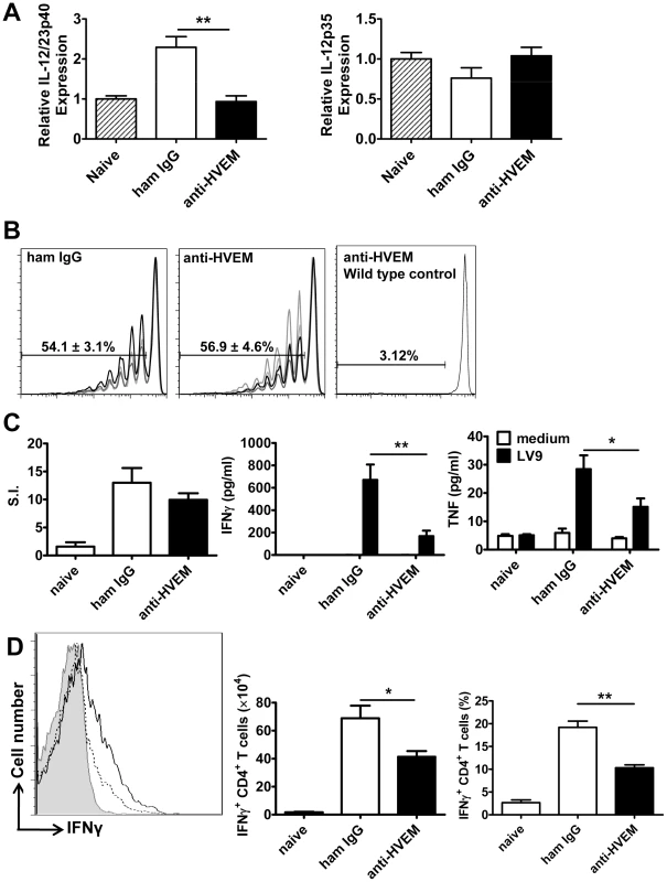 LIGHT-HVEM interactions are required for early DC IL-12/IL-23p40 mRNA accumulation, and antigen-specific CD4<sup>+</sup> T cell IFNγ and TNF production.