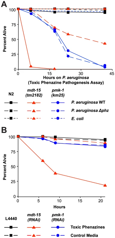 Resistance to <i>P. aeruginosa</i> phenazine toxins requires MDT-15.