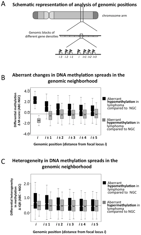 Spreading of aberrant methylation to neighboring probesets in the ABC samples.