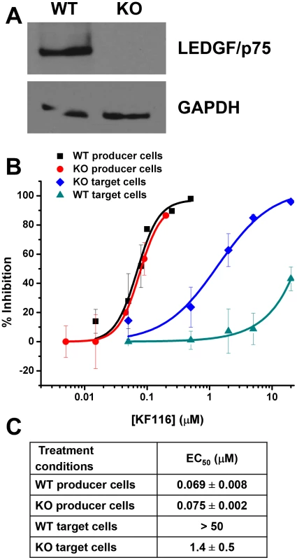 LEDGF/p75 expression does not affect KF116 potency during late stage of HIV-1 replication.
