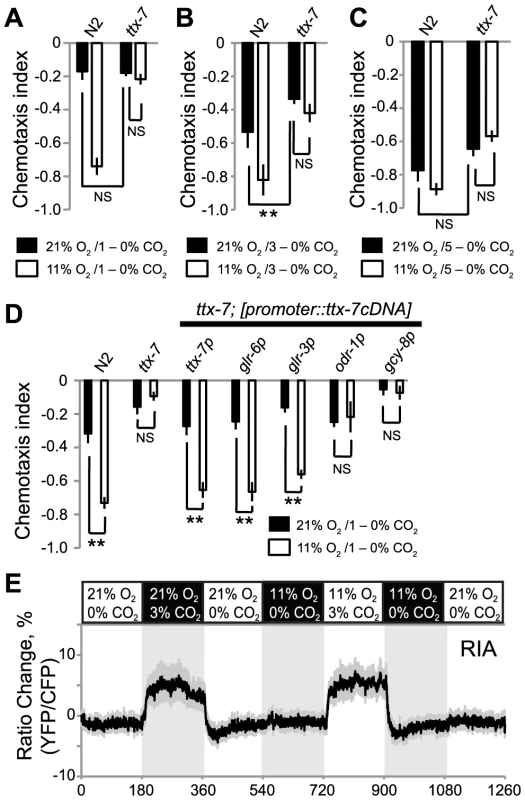 TTX-7 acts in RIA interneurons to promote CO<sub>2</sub> avoidance when ambient O<sub>2</sub> levels are low.
