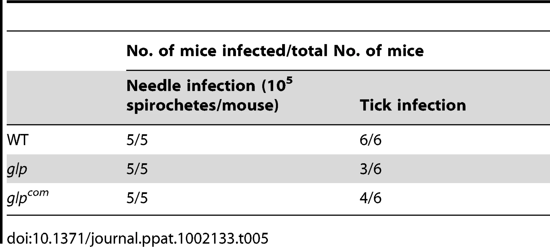 Mouse infectivity of the &lt;i&gt;glp&lt;/i&gt; mutant.