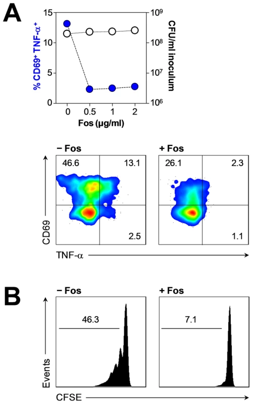 Abrogation of HMB-PP dependent γδ T cell responses by fosmidomycin.