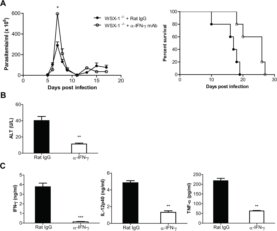 Neutralization of IFN-γ significantly reduces the production of inflammatory cytokines and the serum activities of ALT, and prevents the early mortality of IL-27R<sup>-/-</sup> (WSX-1<sup>-/-</sup>) mice infected with <i>T</i>. <i>congolense</i>.