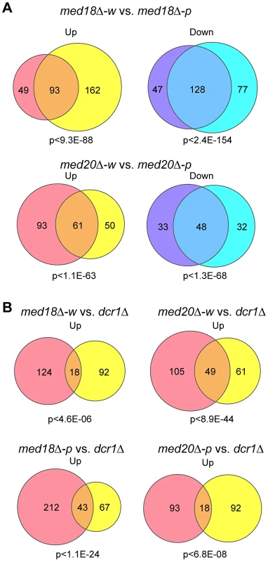 Effect of Mediator disruption on euchromatic genes.