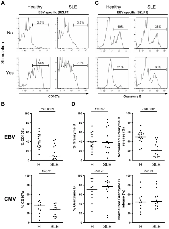 Lytic EBV antigen-specific T cells from SLE patients are impaired in their ability to release their cytotoxic granule content.