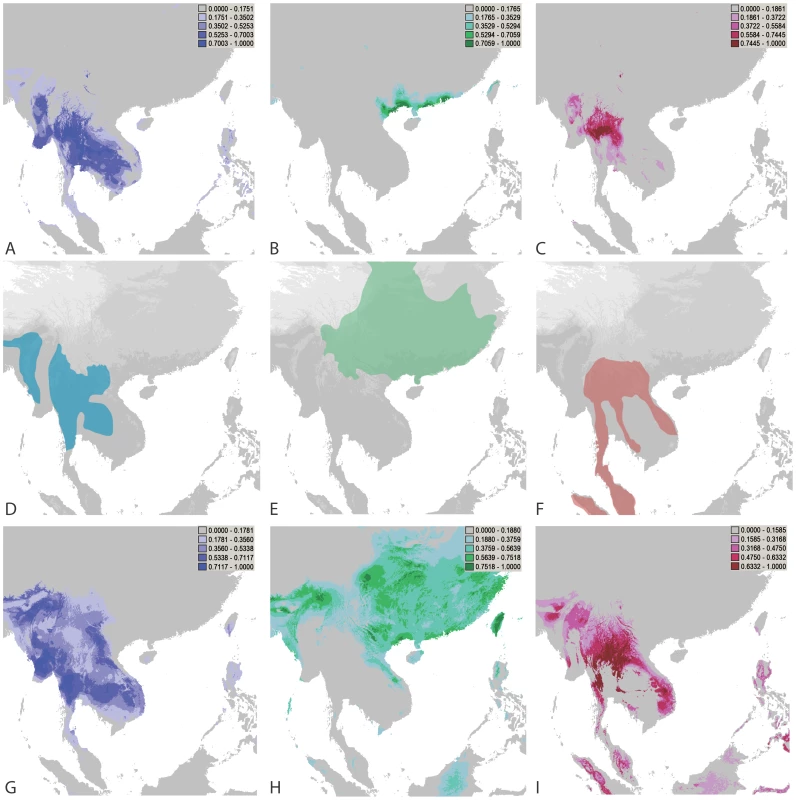 Predicted distributions of <i>P. marneffei</i> genetic clusters and bamboo rat species.