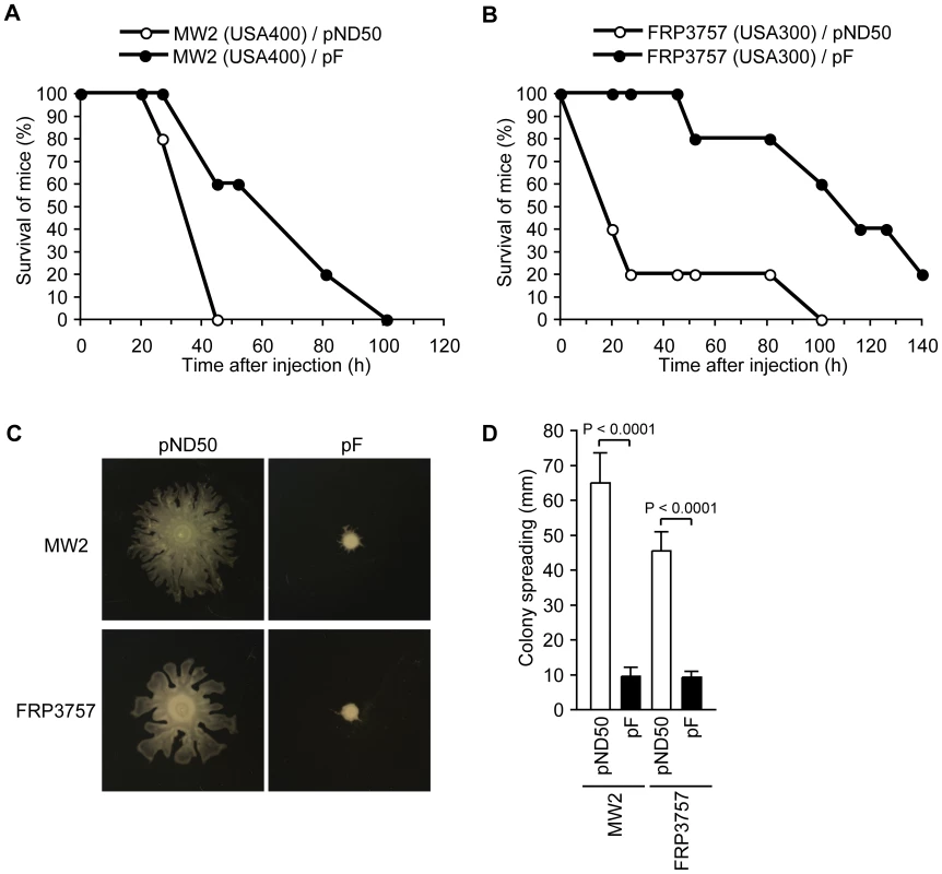 Introduction of the F region into CA-MRSA strains attenuates virulence in a mouse systemic infection model and decreases colony-spreading ability.