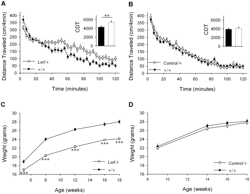 B6.D2-<i>Unc-79<sup>Lwt</sup></i> (<i>Lwt</i>) congenic strain captures locomotor and body weight phenotypes.