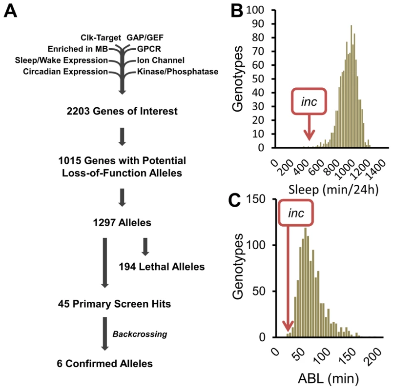 A reverse-genetics screen identifies novel sleep genes.