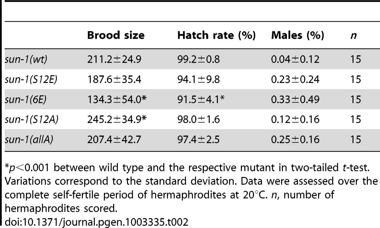 Brood size, hatch rate, and X chromosome nondisjunction of <i>sun-1</i> phosphosite mutants.