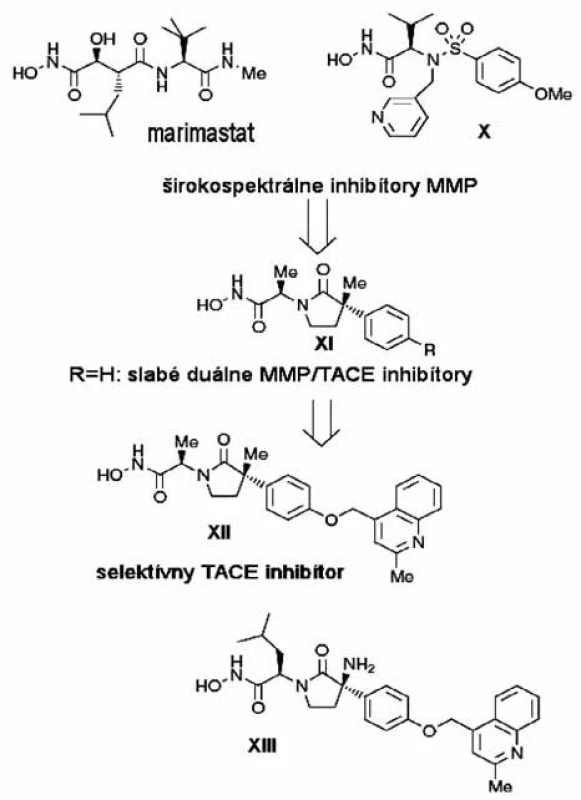 Projektovanie selektívnych inhibítorov TACE &lt;sup&gt;3)&lt;/sup&gt;