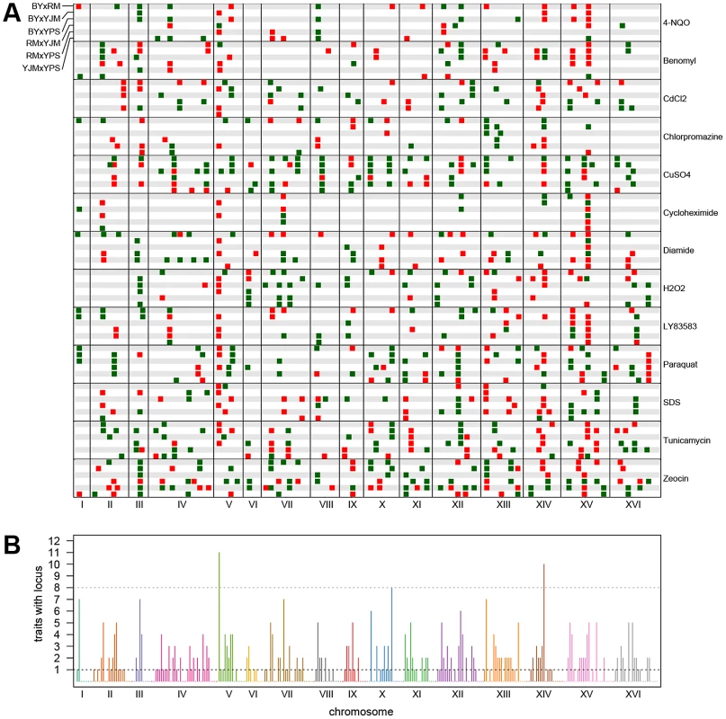 Genome-wide plots of detected loci.
