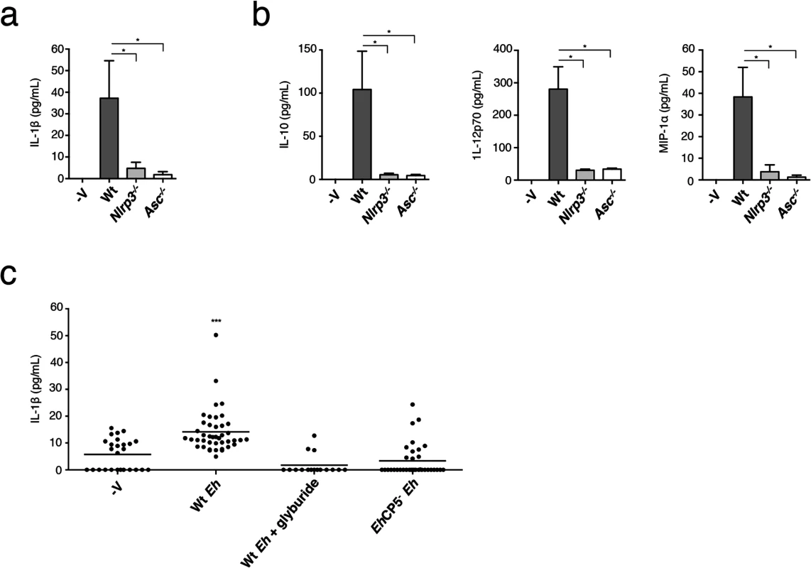 NLRP3 inflammasome is involved in <i>E</i>. <i>histolytica</i>-induced inflammatory responses of the colon.