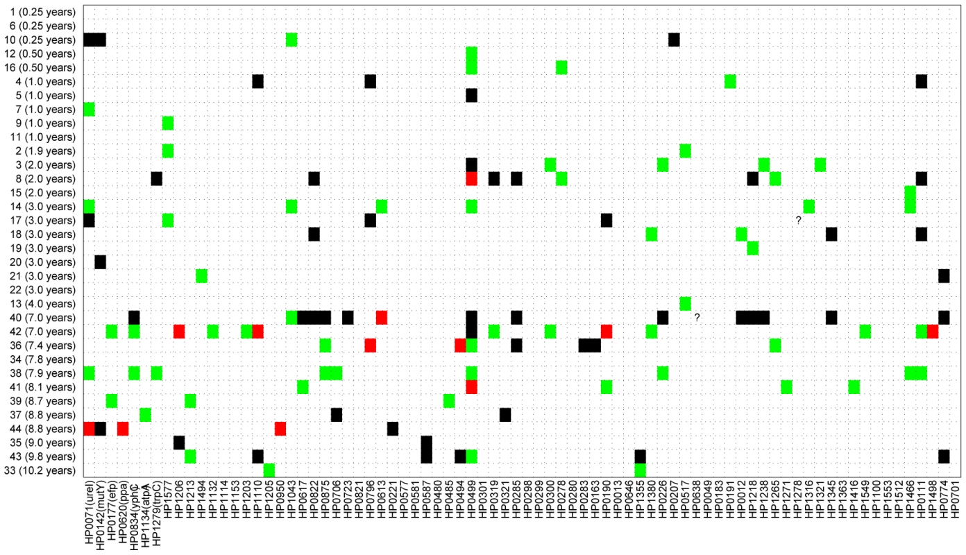 Sequence differences for 78 gene fragments (X axis) that were tested from 34 pairs of sequential isolates (Y axis).