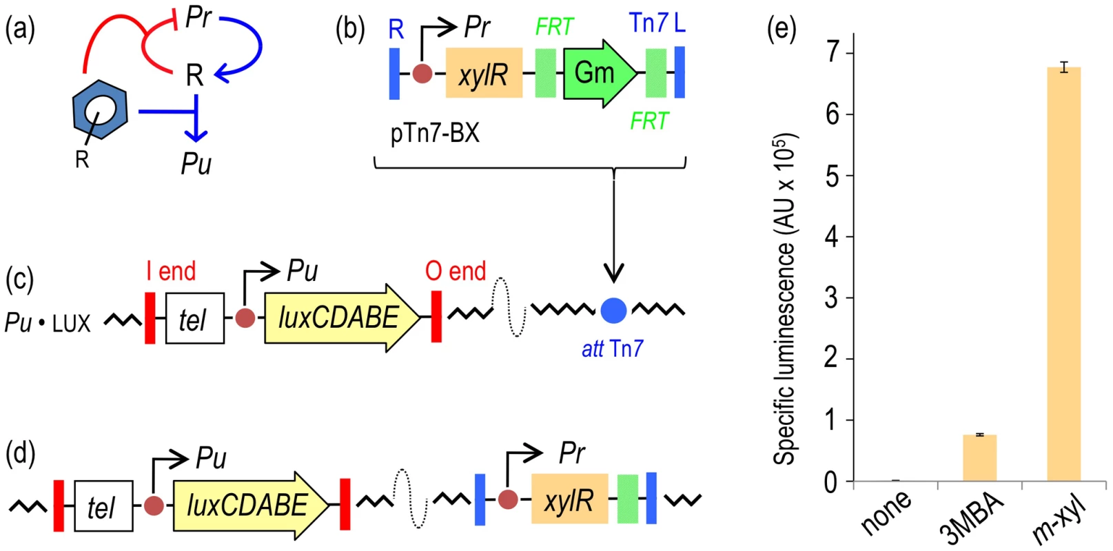 Performance of the XylR/<i>Pu</i> regulatory node in response to optimal (<i>m</i>-xylene) and suboptimal (3-methylbenzyl alcohol, 3MBA) inducers.