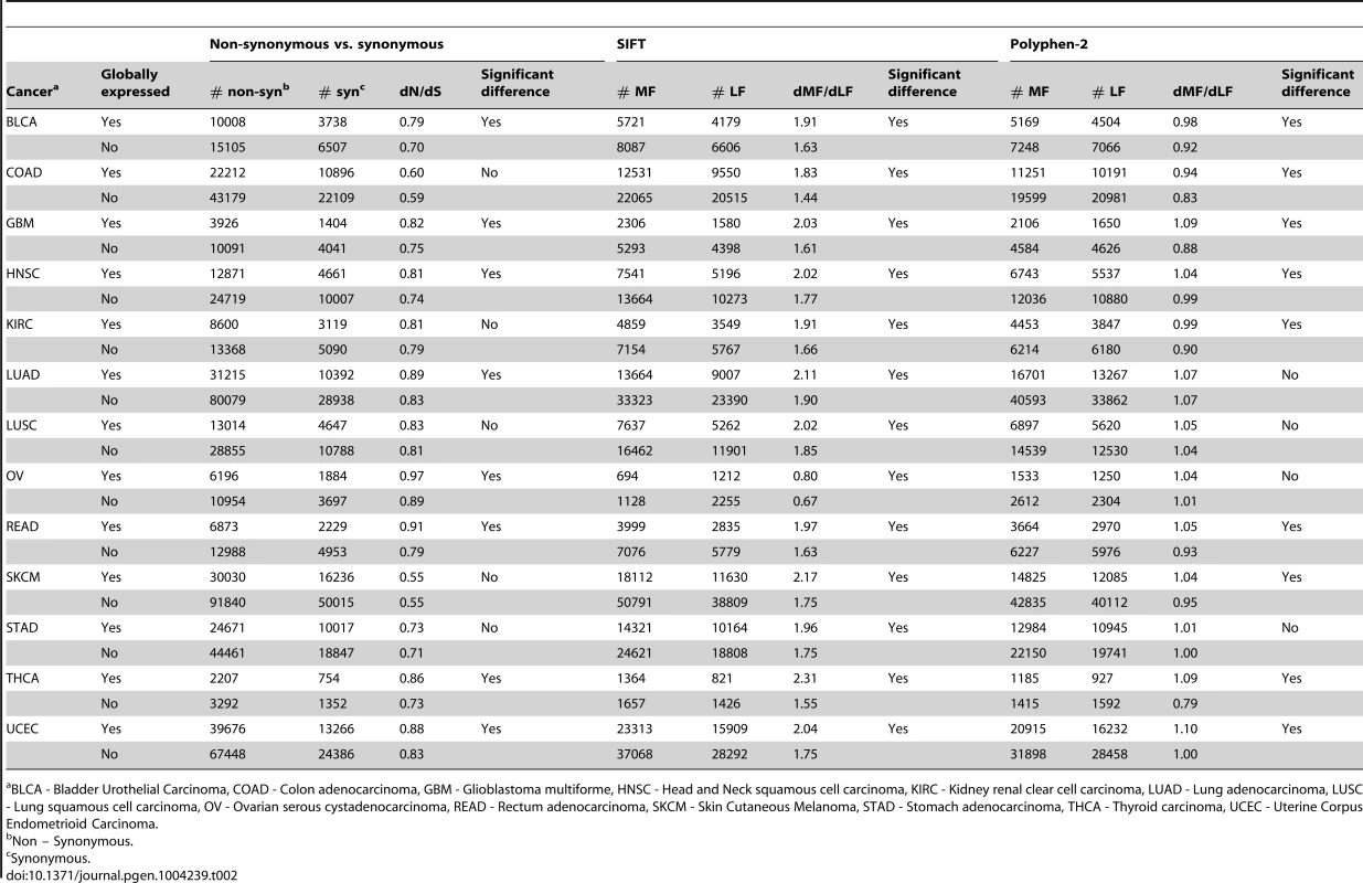 Higher dN/dS and dMF/dLF values for globally, compared to non-globally expressed genes in 13 additional cancer types.