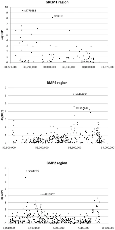 Search for additional colorectal cancer susceptibility SNPs near <i>GREM1</i>, <i>BMP4</i>, and <i>BMP2</i>.