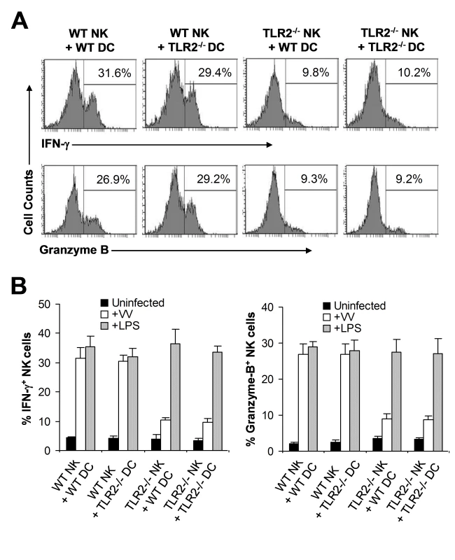 TLR2 signaling on NK cells, but not on DCs, is required for NK cell activation to VV in vitro.