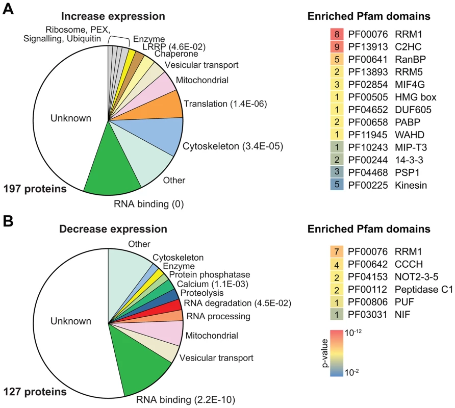 Enriched protein categories and Pfam domains.