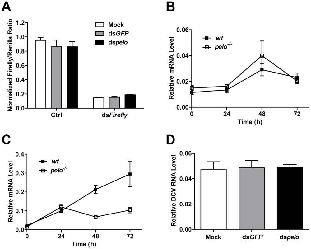 <i>pelo</i> deficiency has no effect on siRNA-mediated gene silencing, Dicer-2 or JAK-STAT mediated antiviral gene expression, and the entry of DCV into S2 cells.